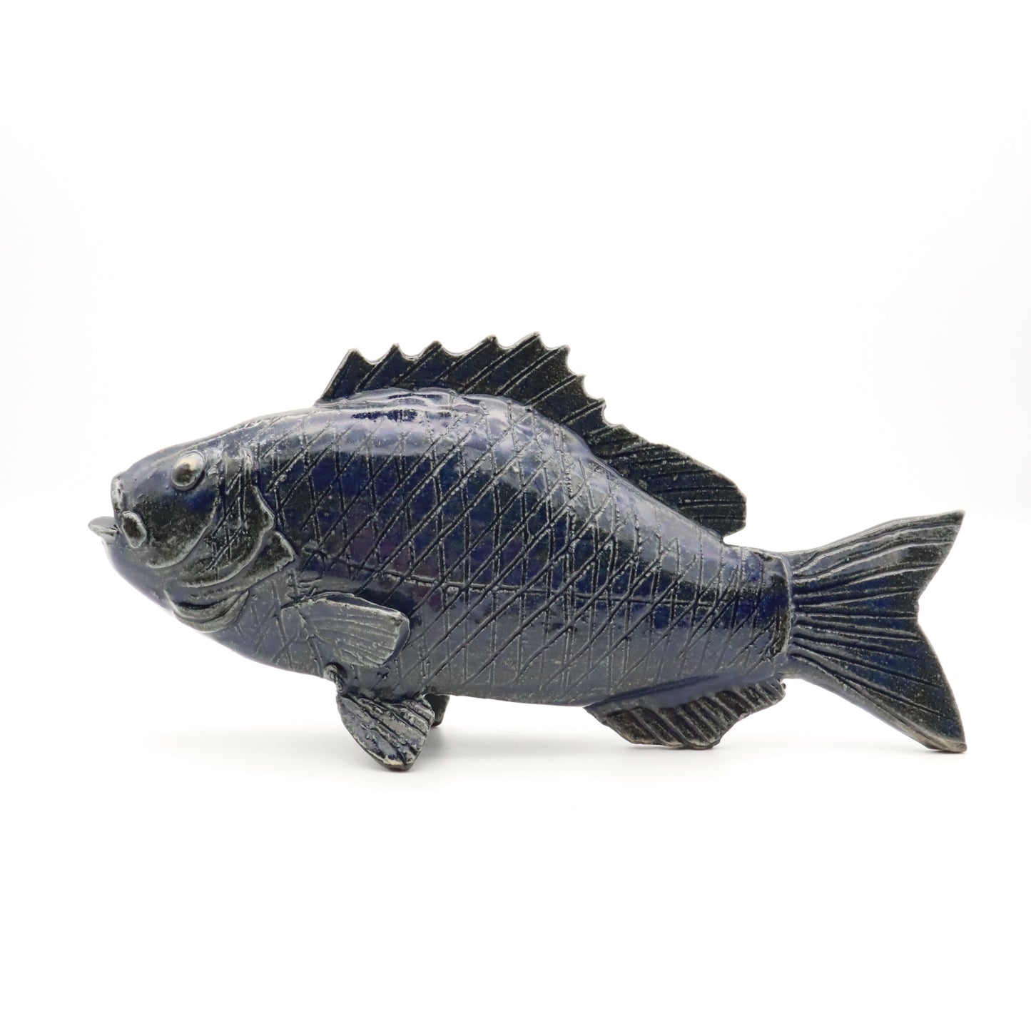 [Haruo Oshima] Black porgy