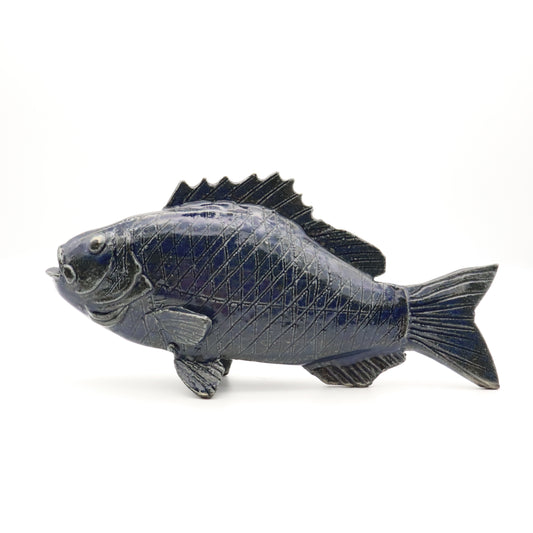 [Haruo Oshima] Black porgy